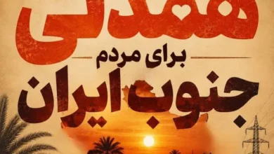 مدیرعامل توانیر: برای آسایش مردم جنوب کشور برق کمتری مصرف کنیم