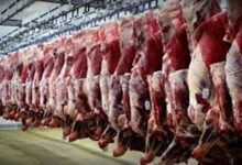 واردات گوشت از برزیل کنترل و پایش می‌شود - هشت صبح