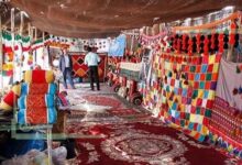نقش سفیران در توانمندسازی دیجیتال زنان روستایی راهبردی است - هشت صبح