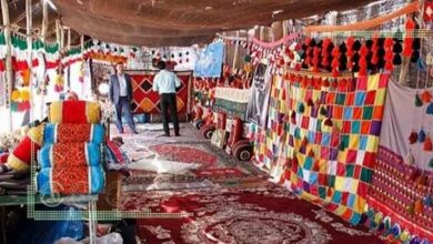 نقش سفیران در توانمندسازی دیجیتال زنان روستایی راهبردی است - هشت صبح