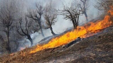 آمادگی ۱۲۰۰ تیم عملیاتی برای مهار سریع آتش‌سوزی در عرصه‌های طبیعی - هشت صبح