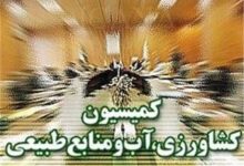 پیگیری سازوکار پرداخت مطالبات گندمکاران در کمیسیون کشاورزی مجلس - هشت صبح