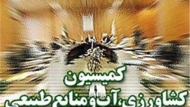 پیگیری سازوکار پرداخت مطالبات گندمکاران در کمیسیون کشاورزی مجلس - هشت صبح