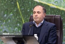 نوری: ۳۰همت به حساب گندمکاران واریز شد؛ پرداخت ۵۰ همت تا چند روز آینده - هشت صبح
