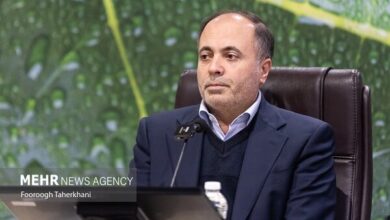 نوری: ۳۰همت به حساب گندمکاران واریز شد؛ پرداخت ۵۰ همت تا چند روز آینده - هشت صبح