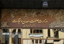 درخواست صمت از بانک مرکزی برای تمدید دو هفته‌ای مهلت تخصیص ارز - هشت صبح