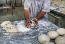 بخشی از نان یارانهای به جای سفره مردم، خوراک دام میشود - هشت صبح