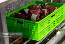 کنترل قیمت گوشت در بازار با افزایش عرضه شدنی است - هشت صبح