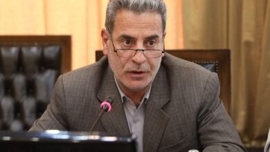 هادیان‌پور: سال گذشته ۳۴۰ هزار تن مرغ مازاد بر نیاز تولید شد - هشت صبح