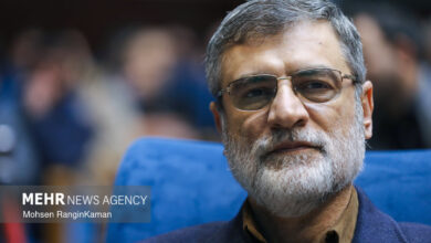 قاضی‌زاده هاشمی: نظام رفاه ایران نظریه بومی مبتنی بر قانون اساسی ندارد - هشت صبح