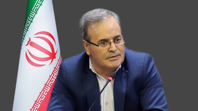 نقشه راه تولید بهینه در گلخانه‌ها ترسیم شد - هشت صبح