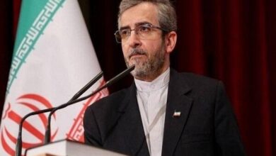 علی باقری: پیام پرچم‌های سرخ خون‌خواهی واضح است - هشت صبح