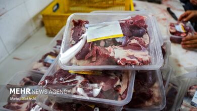 ضرورت واردات برای کاهش نرخ گوشت در بازار داخل - هشت صبح