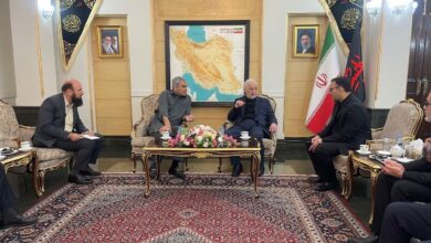 ورود وزیر کشور پاکستان به تهران با استقبال مومنی - هشت صبح