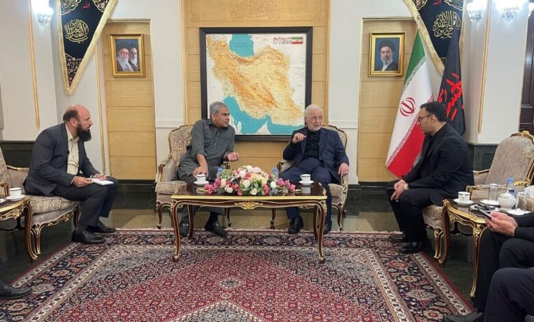 ورود وزیر کشور پاکستان به تهران با استقبال مومنی - هشت صبح