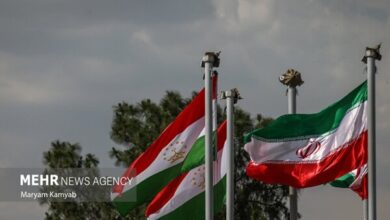 رایزنی ایران و تاجیکستان برای اجرای پروژه‌های مشترک کشاورزی - هشت صبح