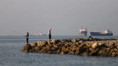 برای نگهبانی از تنگه هرمز به ​​نیروی کار خارجی نیاز نداریم - هشت صبح