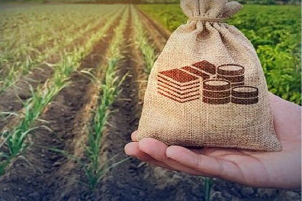 حداقل سهم بخش کشاورزی از وامهای بانکی تعیین شد - هشت صبح