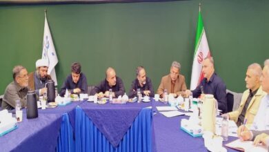 هادیان‌پور: ۹۳ همت از مطالبات گندم‌کاران پرداخت شده است - هشت صبح