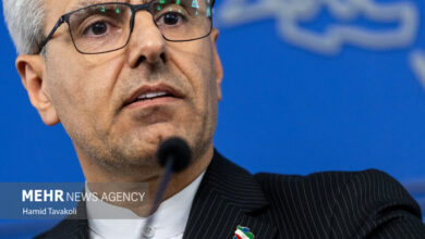 نشست خبری سخنگوی وزارت امور خارجه
