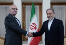دیدار سفیر جدید ایرلند در ایران با عراقچی - هشت صبح
