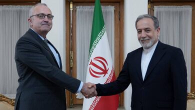 دیدار سفیر جدید ایرلند در ایران با عراقچی - هشت صبح