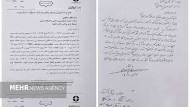 نسخه رئیس‌جمهور برای شاهوار؛ محیط‌زیست مرجع تصمیم‌گیری شد - هشت صبح
