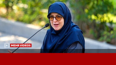 مهاجرانی: تحریم ما را به سمت تراستی‌ها برد - هشت صبح