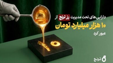 «رز ترنج» طی یکسال ۹۰۰ درصد رشد کرد - هشت صبح