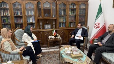 دیدار هماهنگ‌کننده مقیم سازمان ملل متحد در تهران با غریب آبادی - هشت صبح