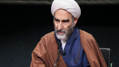 آیت‌الله مبلغی: اربعین یکی از بزرگ‌ترین جلوه‌های همبستگی در جهان است - هشت صبح