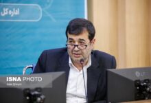 وزیر ورزش: بوکس میتواند رشته مدالآور ما باشد