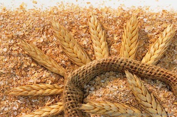 عرضه سبوس در بازارگاه فراهم شد - هشت صبح