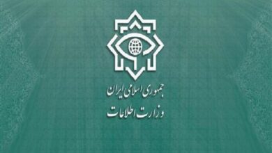 وزارت اطلاعات: دولت فرانسه پاسخگوی مداخلات دیپلمات‌هایش باشد - هشت صبح