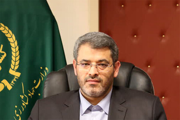 هیچ گوشت مرغ تاریخ گذشته‌ای در تهران توزیع نشده است - هشت صبح