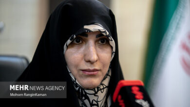 قیصری: افزایش تعرفه خودروهای وارداتی برخلاف بودجه ۱۴۰۵ و غیرقانونی است - هشت صبح