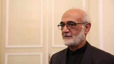 ایروانی: تنگه هرمز، اهرم اقتدار ایران است - هشت صبح
