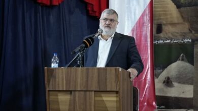 ظرفیت نیروگاه‌های خورشیدی تهران با رشد ۲۰ برابری به ۴۰۰ مگاوات رسید - هشت صبح