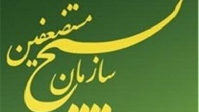 پزشکان ایرانی در خط مقدم دفاع از ایران هستند - هشت صبح