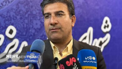 پروژه‌های ۱۱۲ مگاواتی نیروگاه خورشیدی ملارد در انتظار رفع موانع - هشت صبح
