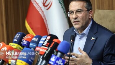 گام عملی دولت برای حل مشکلات نیروهای شرکتی - هشت صبح