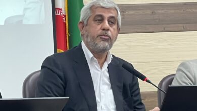 سعیدی: گفتگوها با عمان به معنای بازگشایی تنگه هرمز نیست - هشت صبح
