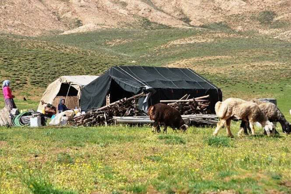 مکان‌محور شدن اطلاعات عشایر در ۱۵ استان اجرایی شد - هشت صبح