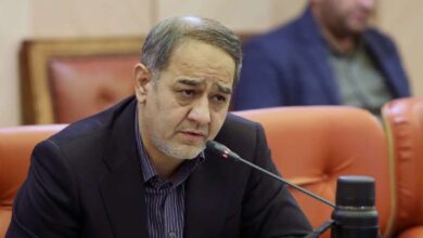 فرآیند واردات قبض‌ انباری گوشت راهگشای مدیریت بازار - هشت صبح