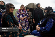 وزیر جهاد کشاورزی ایران از نمایشگاه عشایر مغولستان بازدید کرد - هشت صبح
