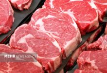 معافیت گمرکی برای واردات گوشت قرمز منجمد - هشت صبح