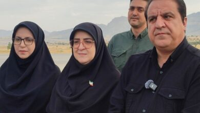 سخنگوی دولت وارد ایلام شد - هشت صبح