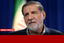 کوثری: ترامپ قمارباز هر لحظه یک تصمیمی می‌گیرد