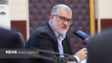 تأکید استاندار تهران بر شتاب‌بخشی به توسعه انرژی‌های تجدیدپذیر - هشت صبح