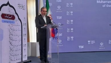 عراقچی: ایران بر عهد مقاومت خود پابرجا ایستاده است - هشت صبح